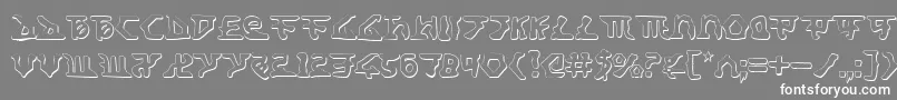 HomeworldTranslatorShadow Font – White Fonts on Gray Background