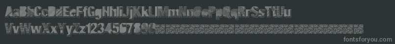 Majorblack Font – Gray Fonts on Black Background