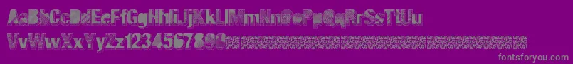 Majorblack Font – Gray Fonts on Purple Background