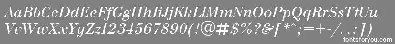 Czcionka BodoniItalic – białe czcionki na szarym tle