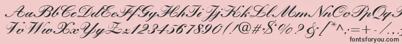 KastlerBoldItalic Font – Black Fonts on Pink Background