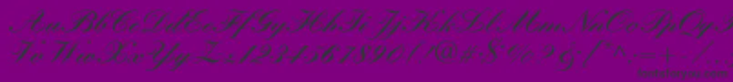 KastlerBoldItalic Font – Black Fonts on Purple Background