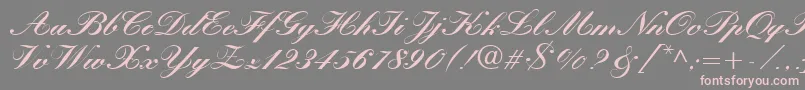 KastlerBoldItalic Font – Pink Fonts on Gray Background