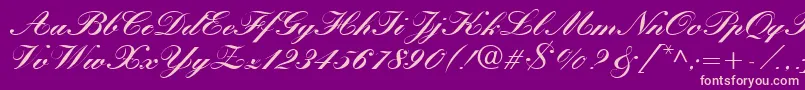KastlerBoldItalic Font – Pink Fonts on Purple Background