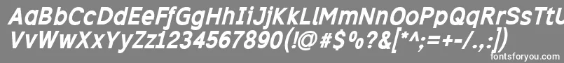 フォントExcibi – 灰色の背景に白い文字