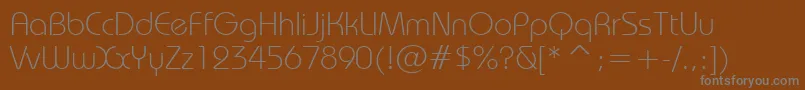 BauhausLightBt Font – Gray Fonts on Brown Background