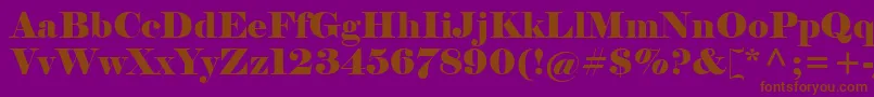 Elephnt Font – Brown Fonts on Purple Background