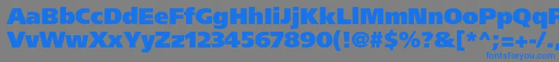 Agforeignerblackc Font – Blue Fonts on Gray Background