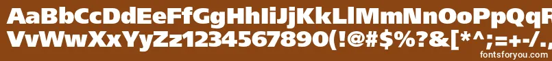 Agforeignerblackc Font – White Fonts on Brown Background