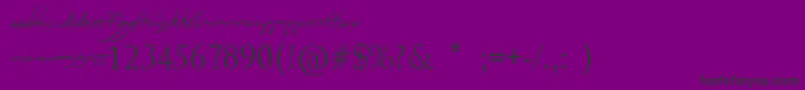 VineyardMagazines-Schriftart – Schwarze Schriften auf violettem Hintergrund