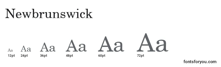Размеры шрифта Newbrunswick