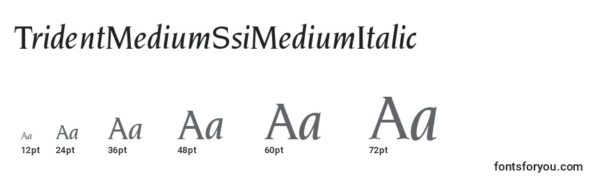 Размеры шрифта TridentMediumSsiMediumItalic