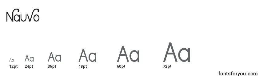 Размеры шрифта Nauvo