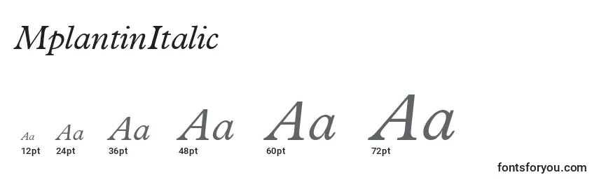 Размеры шрифта MplantinItalic