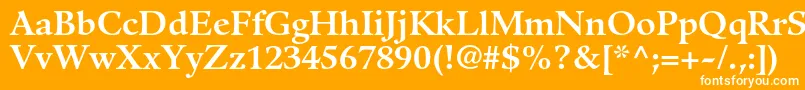 Шрифт GuardiltstdBold – белые шрифты на оранжевом фоне