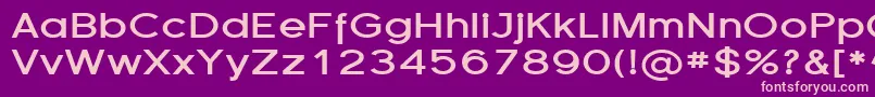 Florsn14 Font – Pink Fonts on Purple Background