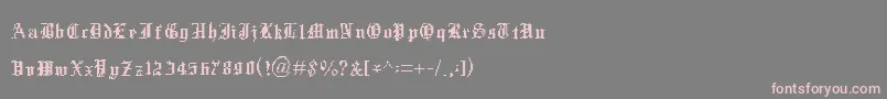 フォントXentype – 灰色の背景にピンクのフォント