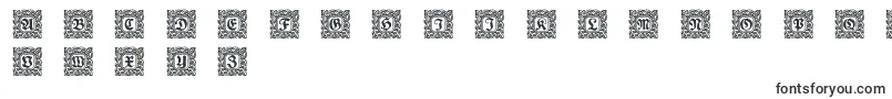 Schmuck Initialen 2-fontti – Fontit PixelLabille