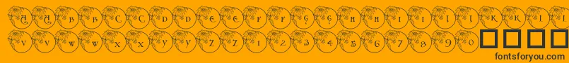 Шрифт Pf Xmas Flower1 – чёрные шрифты на оранжевом фоне