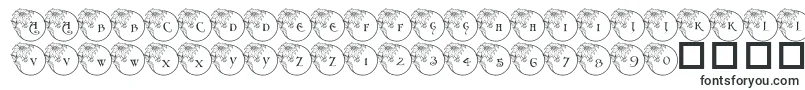 Pf Xmas Flower1-fontti – Fontit Discordille