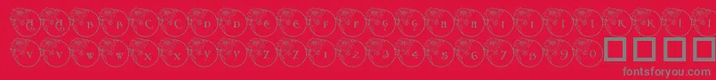 Fonte Pf Xmas Flower1 – fontes cinzas em um fundo vermelho