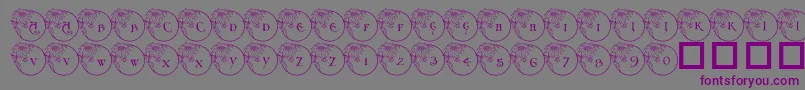 Pf Xmas Flower1 Font – Purple Fonts on Gray Background