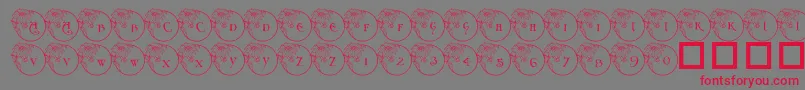 Pf Xmas Flower1 Font – Red Fonts on Gray Background