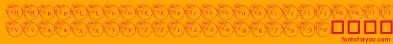 fuente Pf Xmas Flower1 – Fuentes Rojas Sobre Fondo Naranja