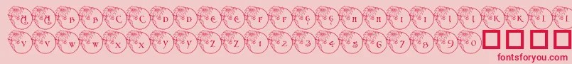 Pf Xmas Flower1-Schriftart – Rote Schriften auf rosa Hintergrund