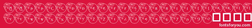 Pf Xmas Flower1 Font – White Fonts on Red Background