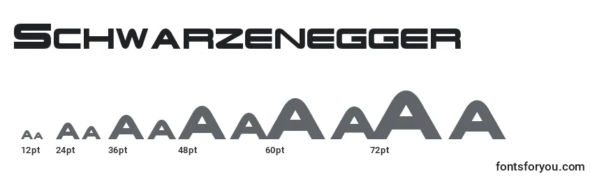 Schwarzenegger Font Sizes