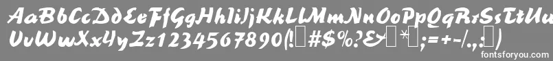 フォントR691ScriptBold – 灰色の背景に白い文字