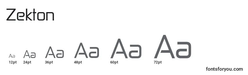 Размеры шрифта Zekton
