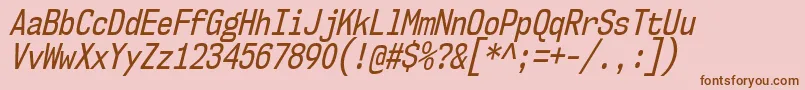 Nk57MonospaceCdRgIt Font – Brown Fonts on Pink Background
