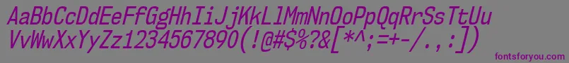 フォントNk57MonospaceCdRgIt – 紫色のフォント、灰色の背景