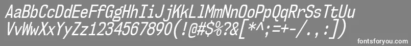 Czcionka Nk57MonospaceCdRgIt – białe czcionki na szarym tle