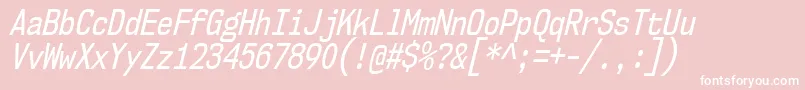 Nk57MonospaceCdRgIt Font – White Fonts on Pink Background