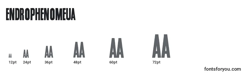 Endrophenomeua Font Sizes