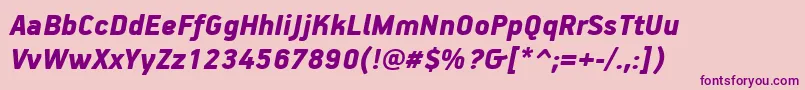 PfhandbookproBlackitalic Font – Purple Fonts on Pink Background