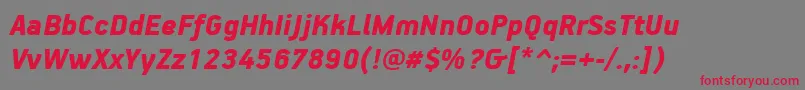PfhandbookproBlackitalic Font – Red Fonts on Gray Background