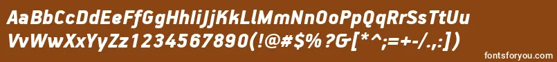 PfhandbookproBlackitalic Font – White Fonts on Brown Background