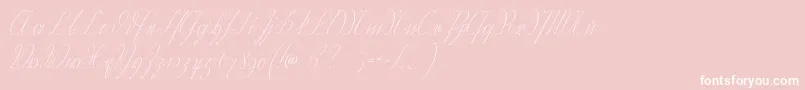 Wiegelkurrent-Schriftart – Weiße Schriften auf rosa Hintergrund