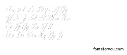 Review of the Wiegelkurrent Font