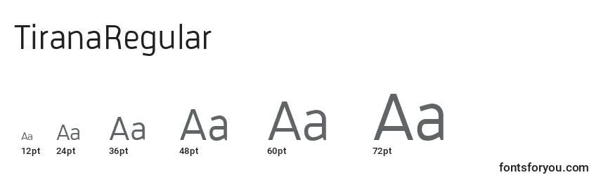 Размеры шрифта TiranaRegular