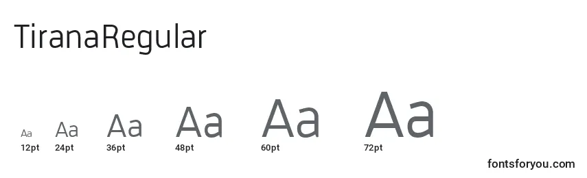 TiranaRegular Font Sizes