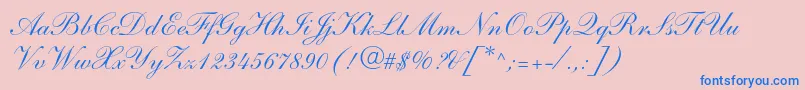 ShelleyltstdScript Font – Blue Fonts on Pink Background