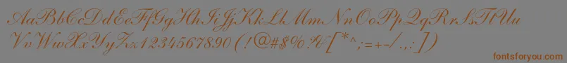 ShelleyltstdScript Font – Brown Fonts on Gray Background