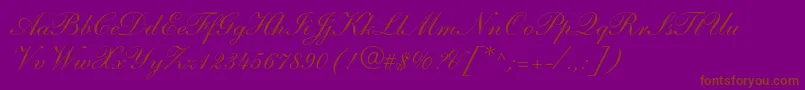 ShelleyltstdScript Font – Brown Fonts on Purple Background