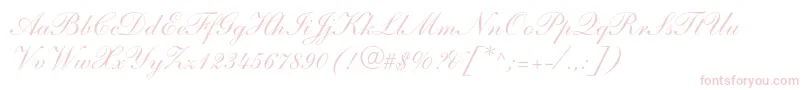 ShelleyltstdScript Font – Pink Fonts on White Background
