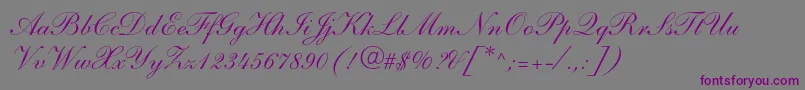 ShelleyltstdScript Font – Purple Fonts on Gray Background